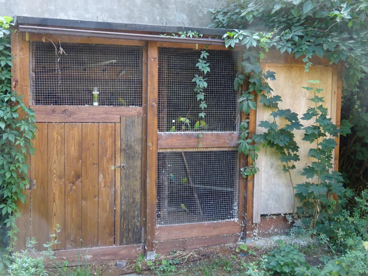 Frank'S Ferienwohnung In Drezno Zewnętrze zdjęcie